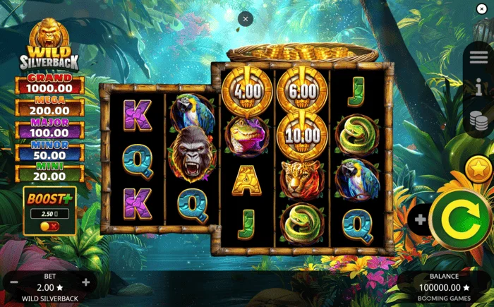 Wild Silverback - aðalskjár leiksins með 3-3-4-4-4 grind